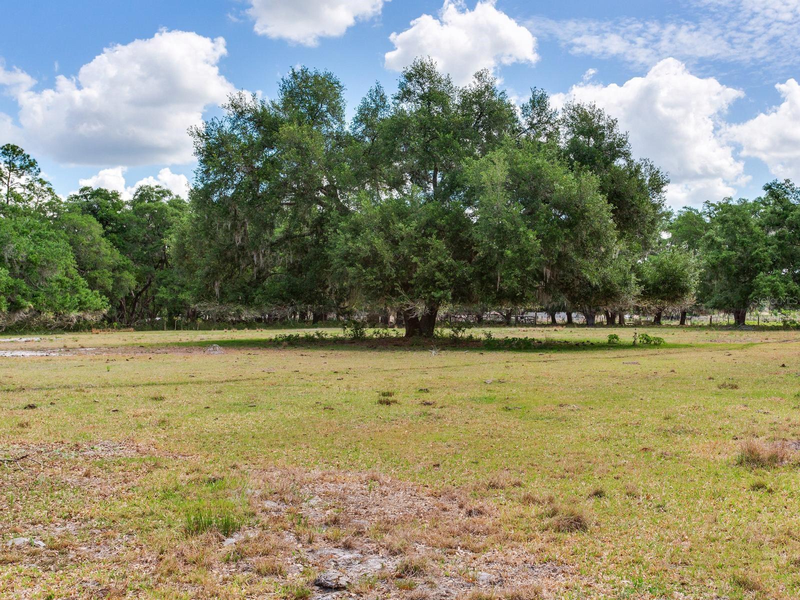 UNPLATTED, THONOTOSASSA, FL, 33592