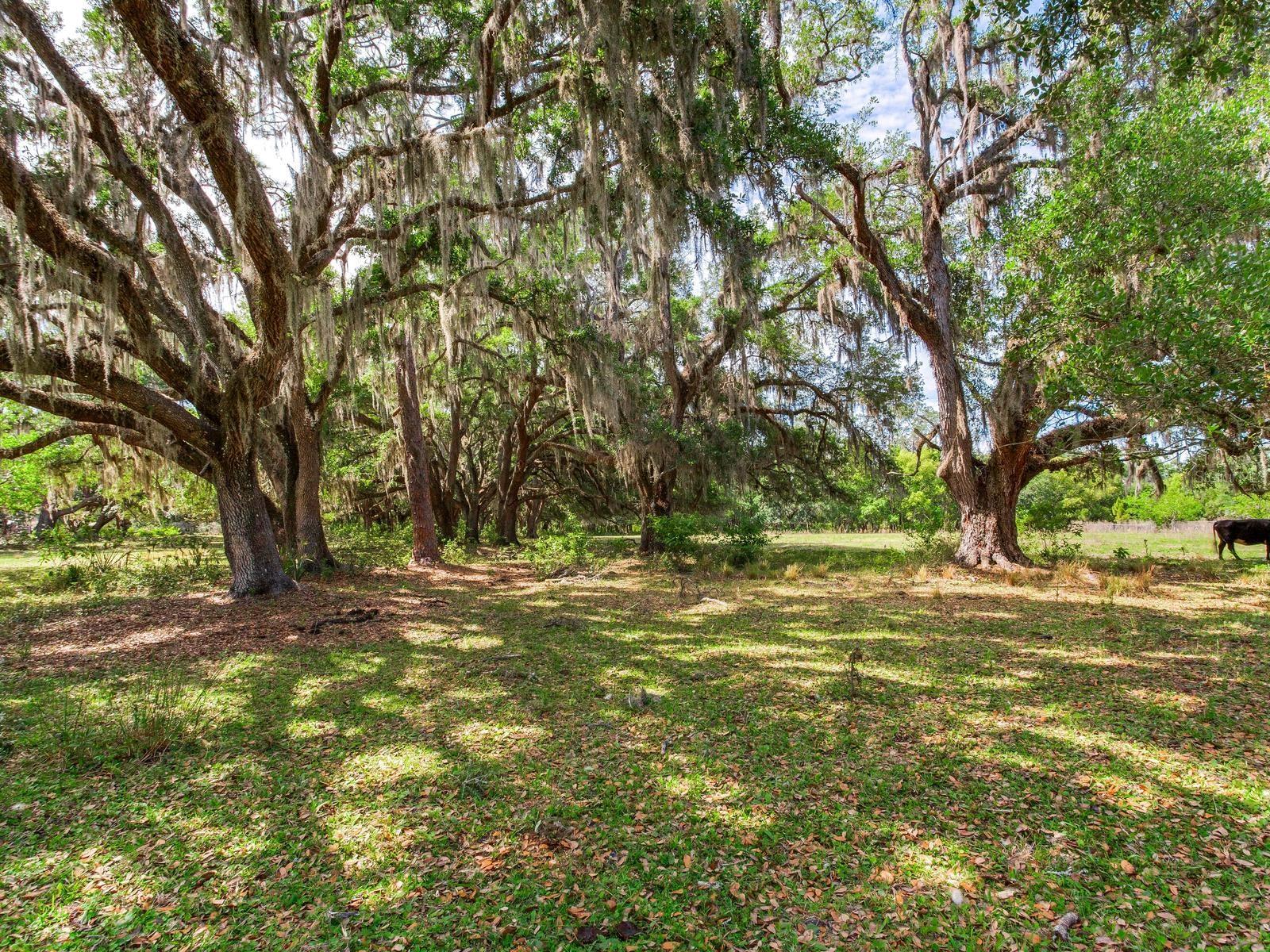 UNPLATTED, THONOTOSASSA, FL, 33592