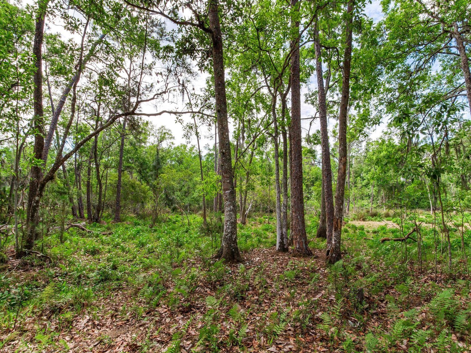 UNPLATTED, THONOTOSASSA, FL, 33592