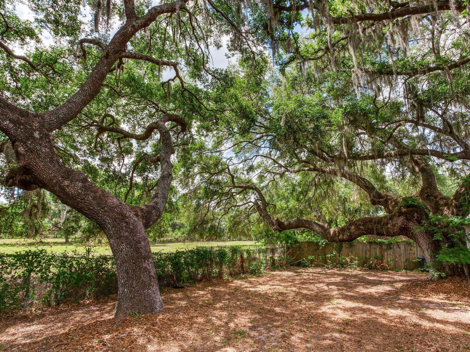 UNPLATTED, THONOTOSASSA, FL, 33592