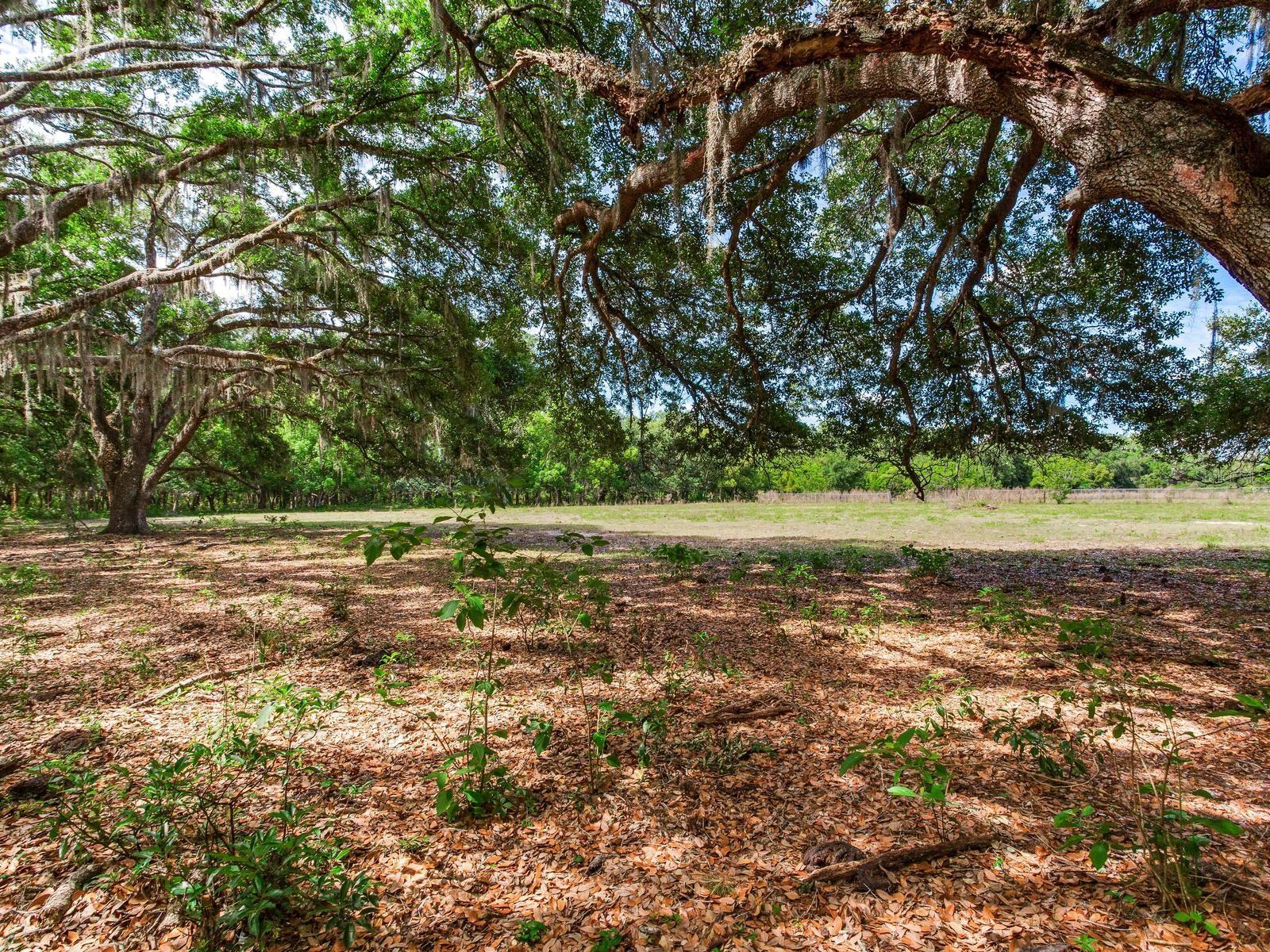 UNPLATTED, THONOTOSASSA, FL, 33592