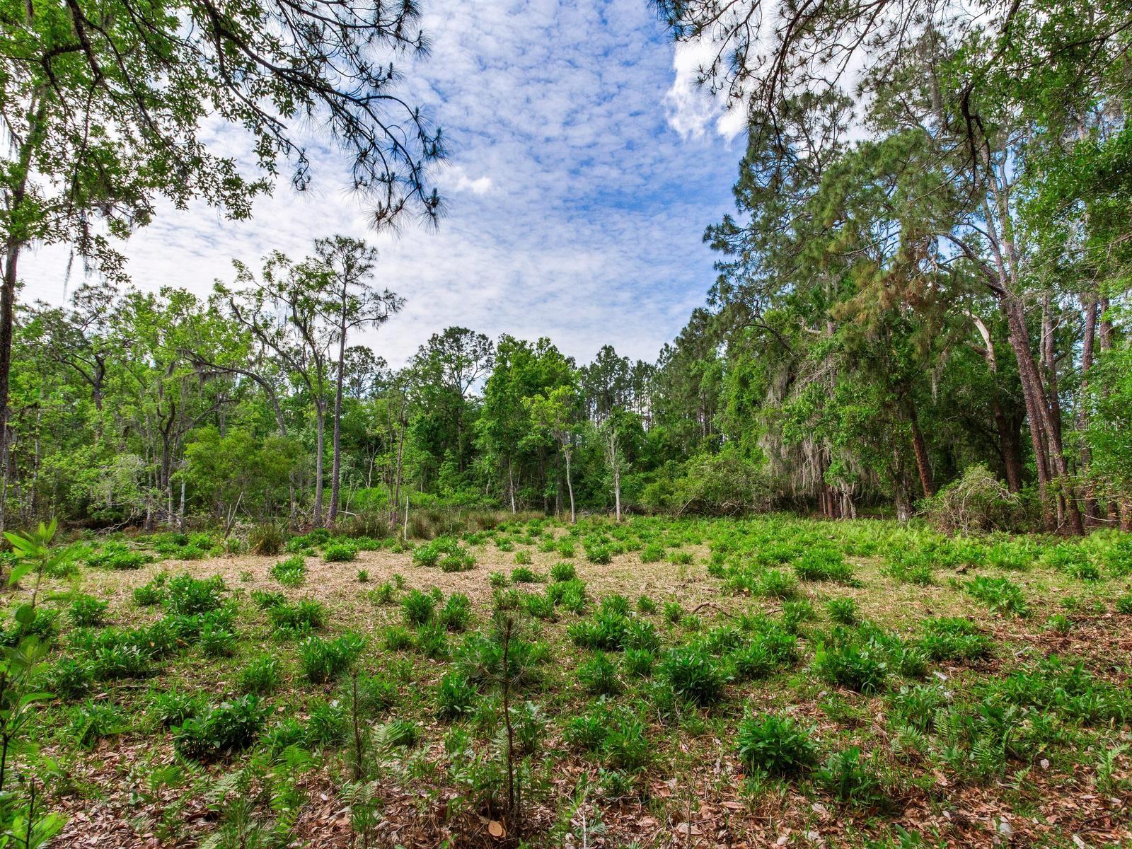 UNPLATTED, THONOTOSASSA, FL, 33592