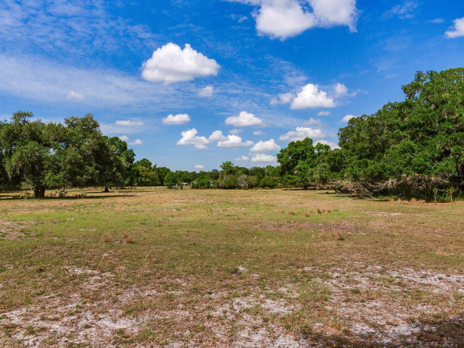 UNPLATTED, THONOTOSASSA, FL, 33592