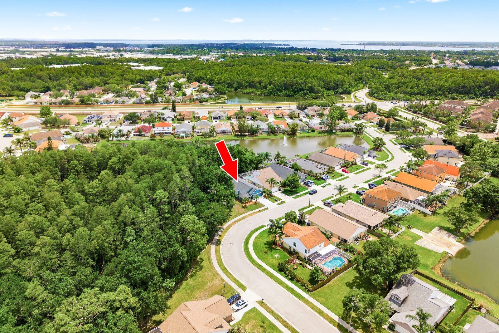 420 CYPRESS VIEW DR, OLDSMAR, FL, 34677