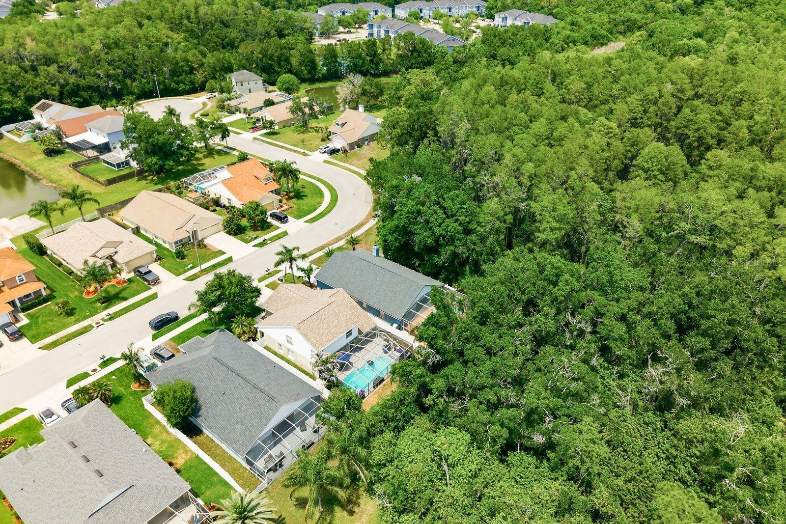 420 CYPRESS VIEW DR, OLDSMAR, FL, 34677