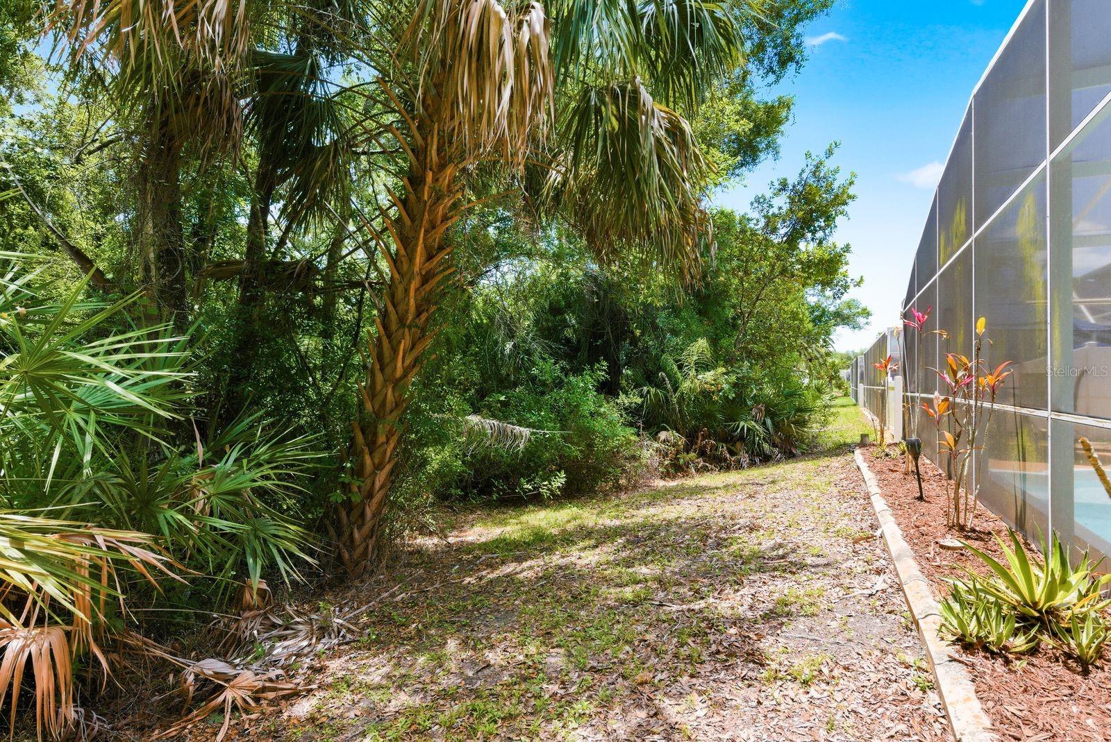 420 CYPRESS VIEW DR, OLDSMAR, FL, 34677