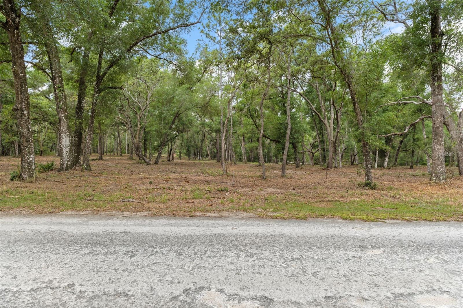 6341 NILE AVE, WEBSTER, FL, 33597
