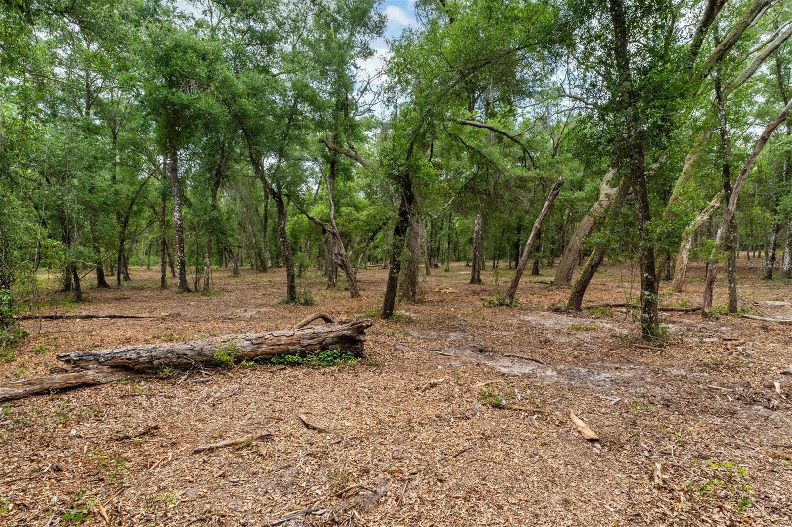 6341 NILE AVE, WEBSTER, FL, 33597