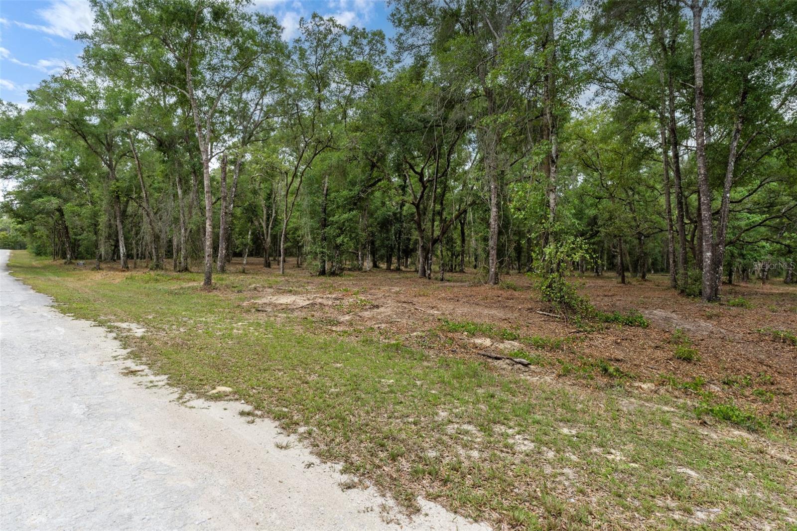 6341 NILE AVE, WEBSTER, FL, 33597