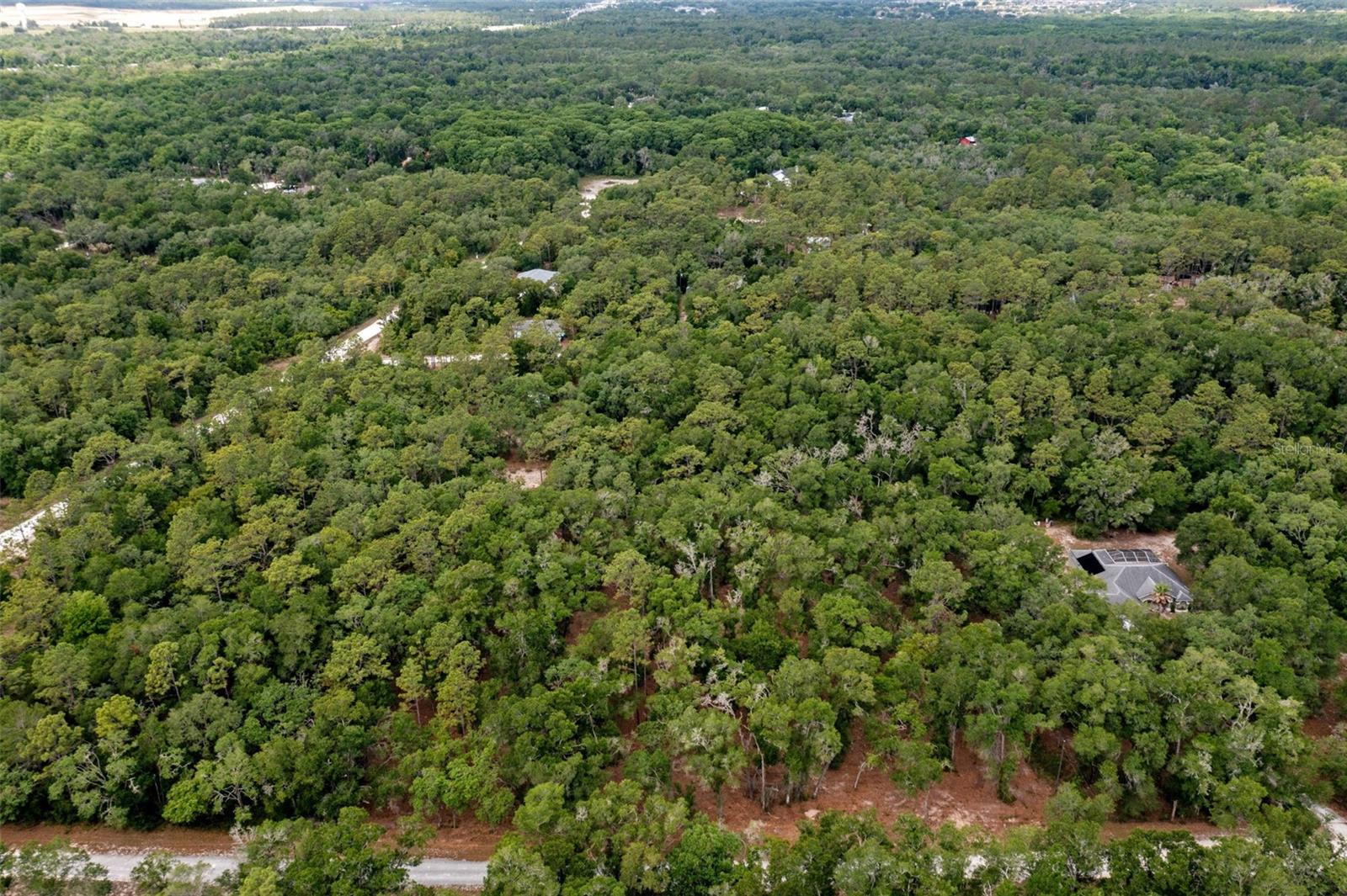 6341 NILE AVE, WEBSTER, FL, 33597