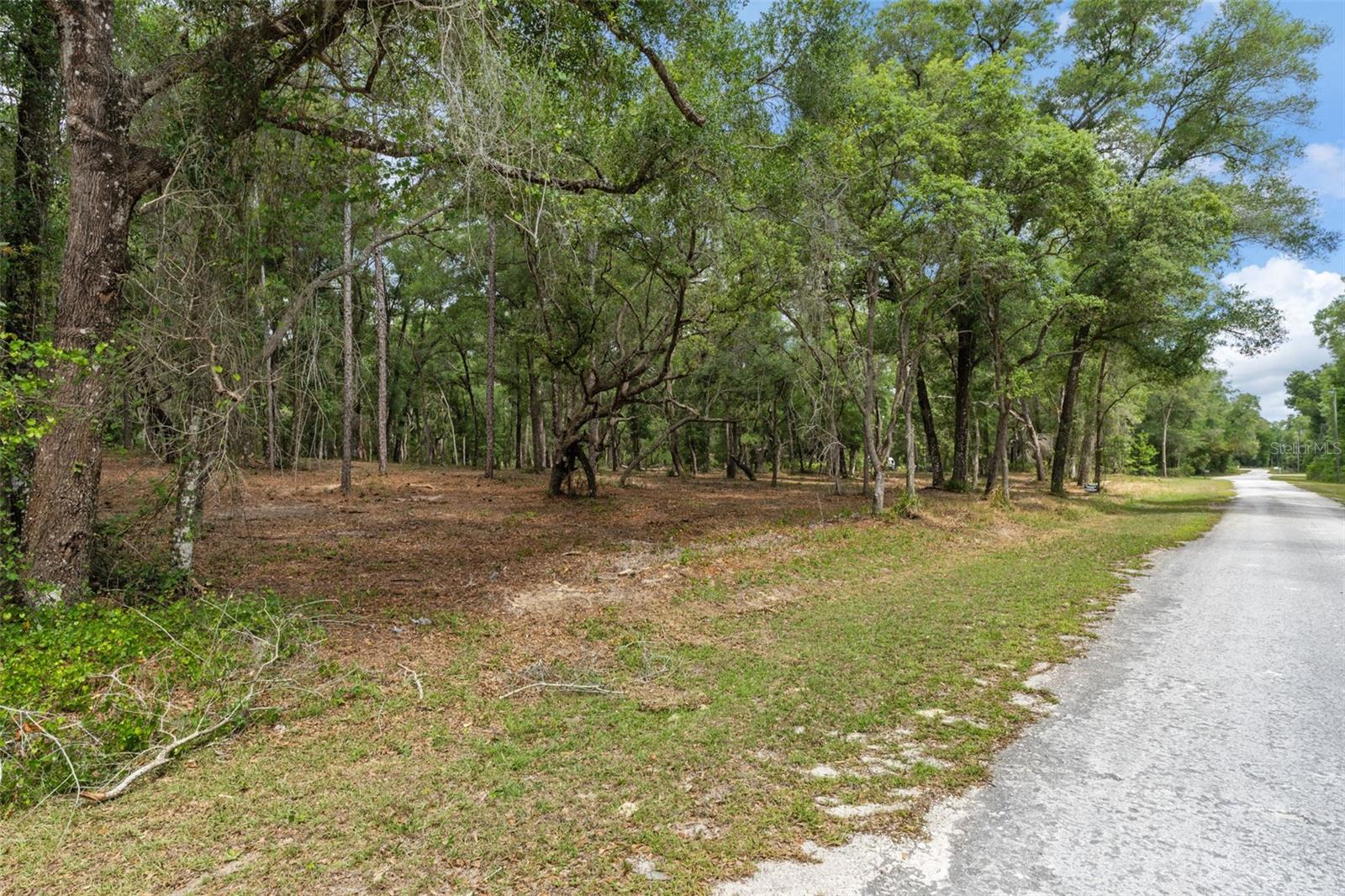 6341 NILE AVE, WEBSTER, FL, 33597