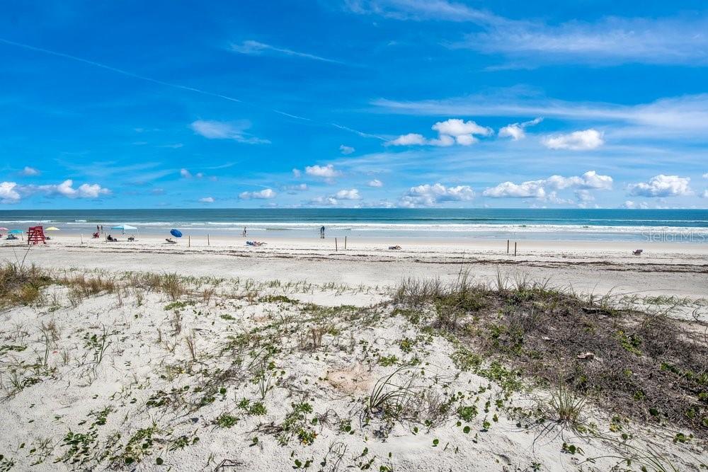 4591 S ATLANTIC AVE, PORT ORANGE, FL, 32127