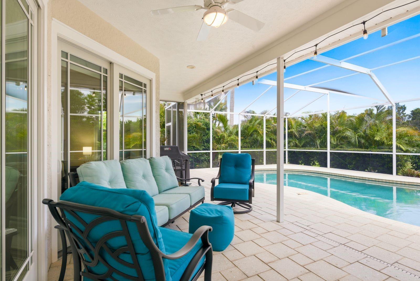 1796 PAINTED BUNTING CIR, PALM HARBOR, FL, 34683