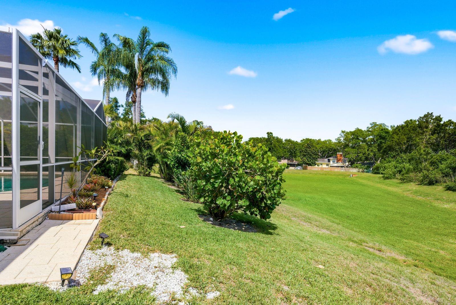 1796 PAINTED BUNTING CIR, PALM HARBOR, FL, 34683