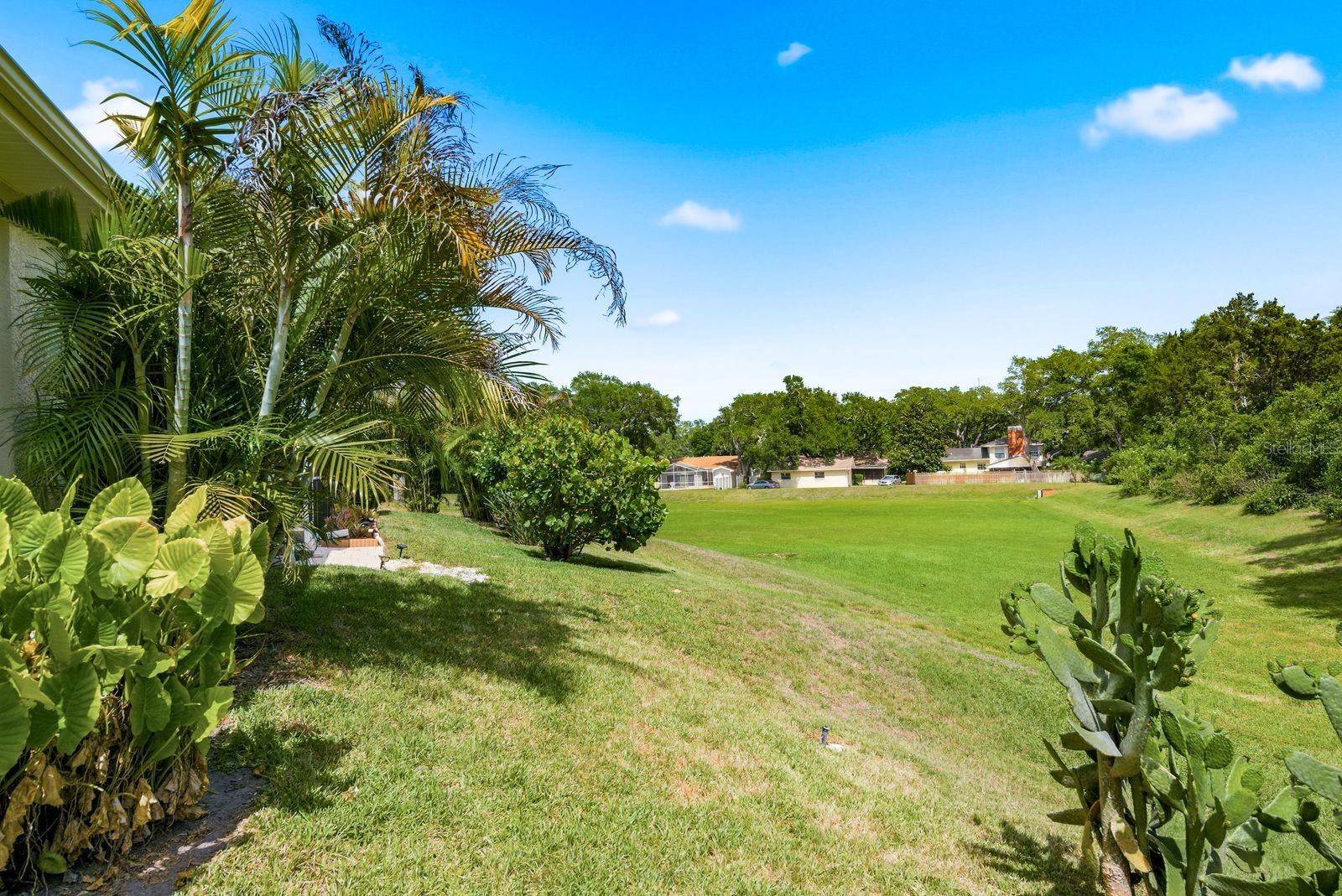 1796 PAINTED BUNTING CIR, PALM HARBOR, FL, 34683