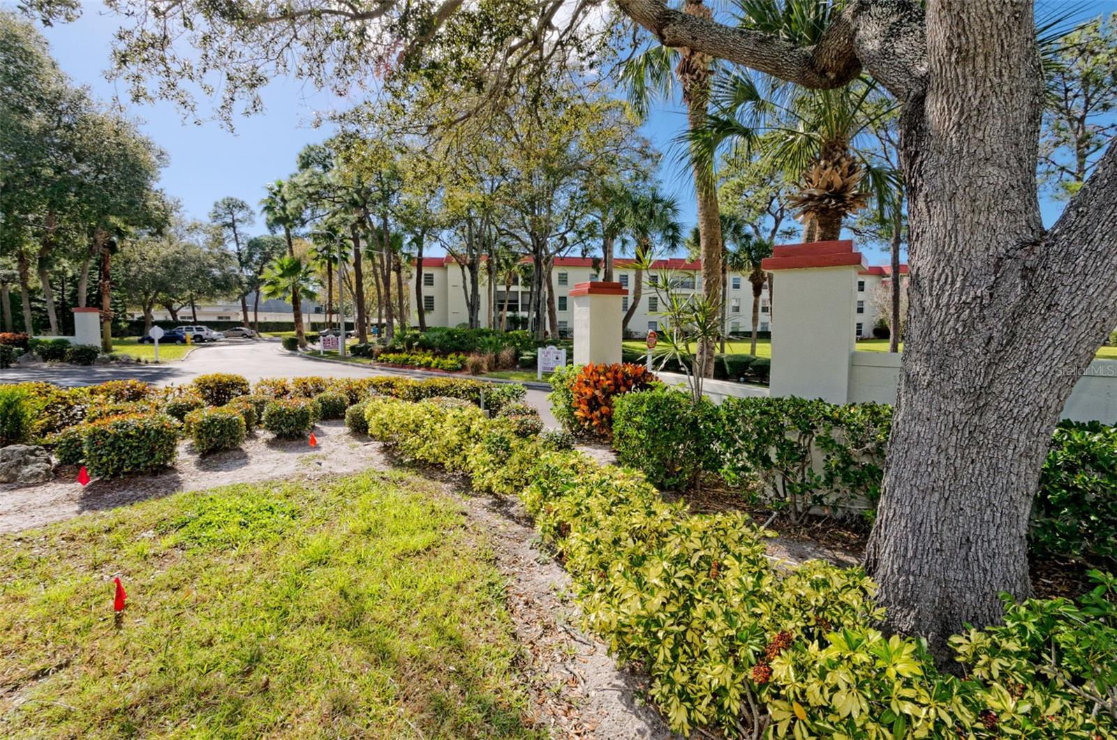 2700 BAYSHORE BLVD #2205, DUNEDIN, FL, 34698