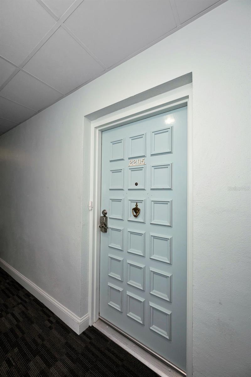 2700 BAYSHORE BLVD #2205, DUNEDIN, FL, 34698