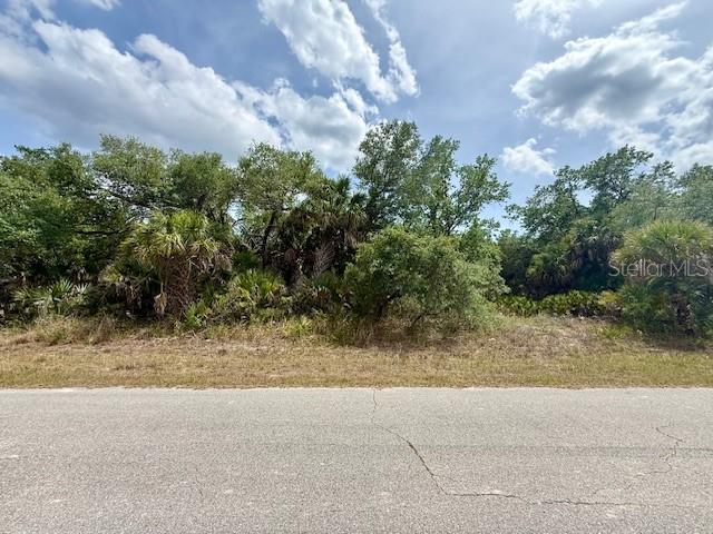 19135 RUSKIN AVE, PORT CHARLOTTE, FL, 33954