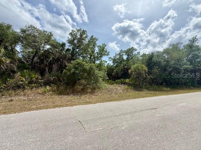 19135 RUSKIN AVE, PORT CHARLOTTE, FL, 33954