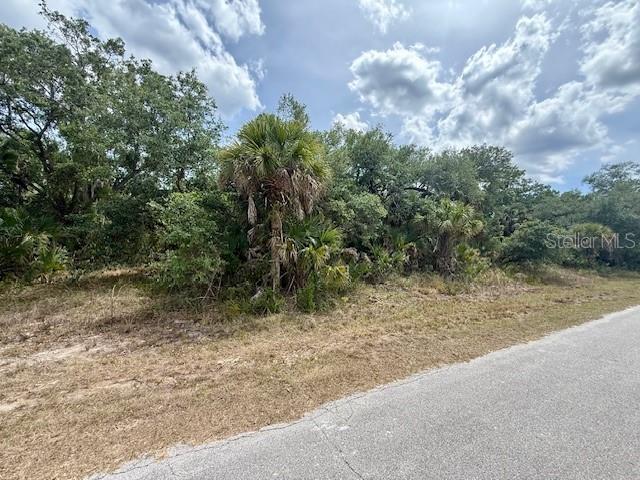 19135 RUSKIN AVE, PORT CHARLOTTE, FL, 33954