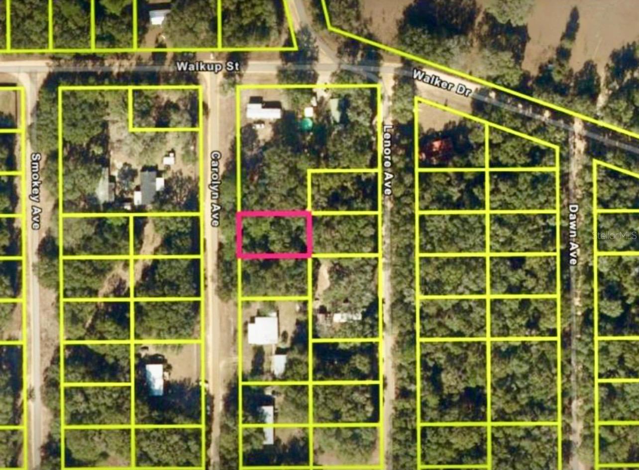 CAROLYN AVE, INTERLACHEN, FL, 32148