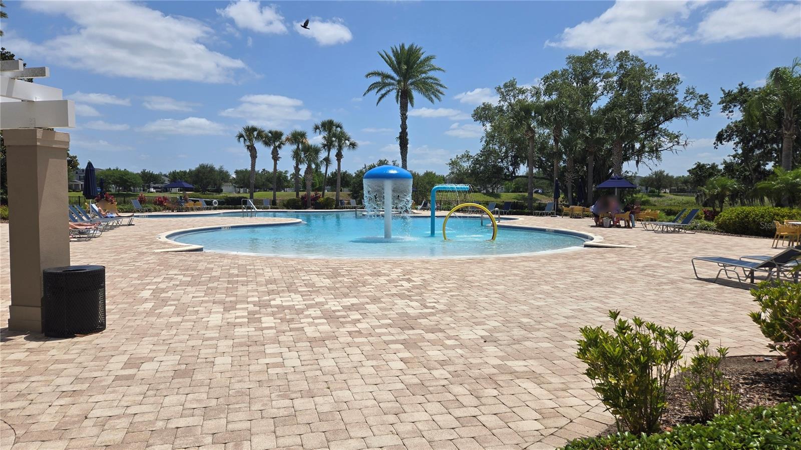 15025 PIGEON PLUM LN, WINTER GARDEN, FL, 34787