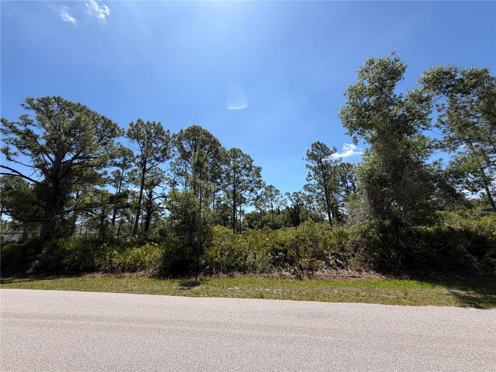 D ALLYON DR, NORTH PORT, FL, 34287