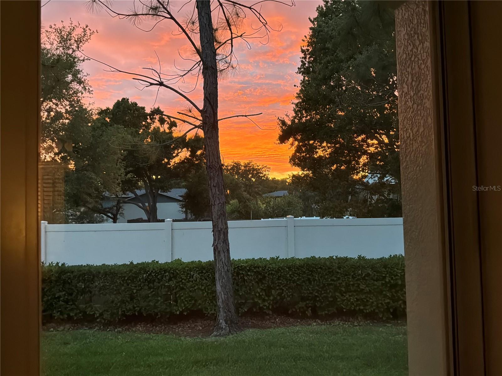 295 N HARBOR DR, PALM HARBOR, FL, 34683