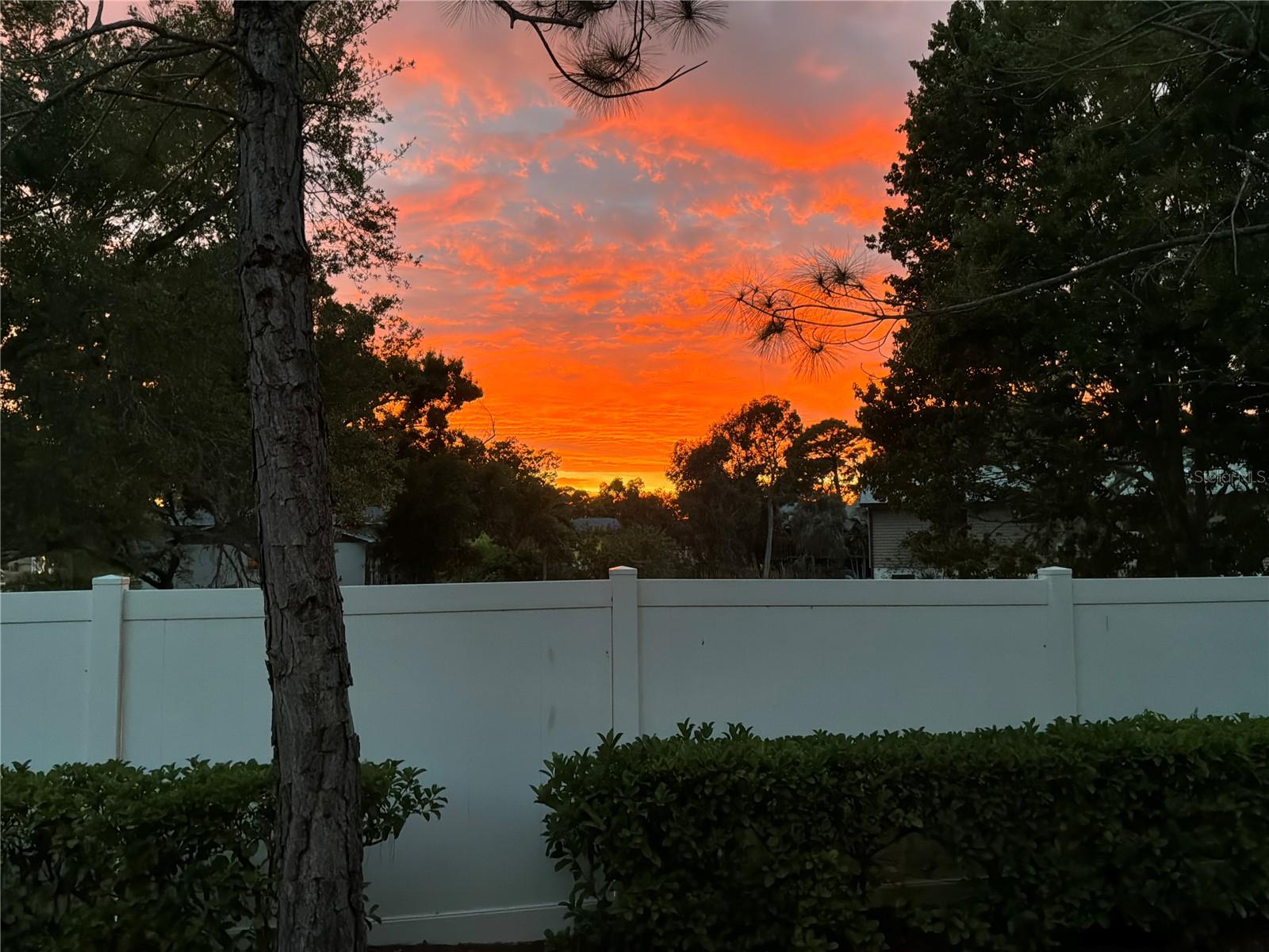 295 N HARBOR DR, PALM HARBOR, FL, 34683