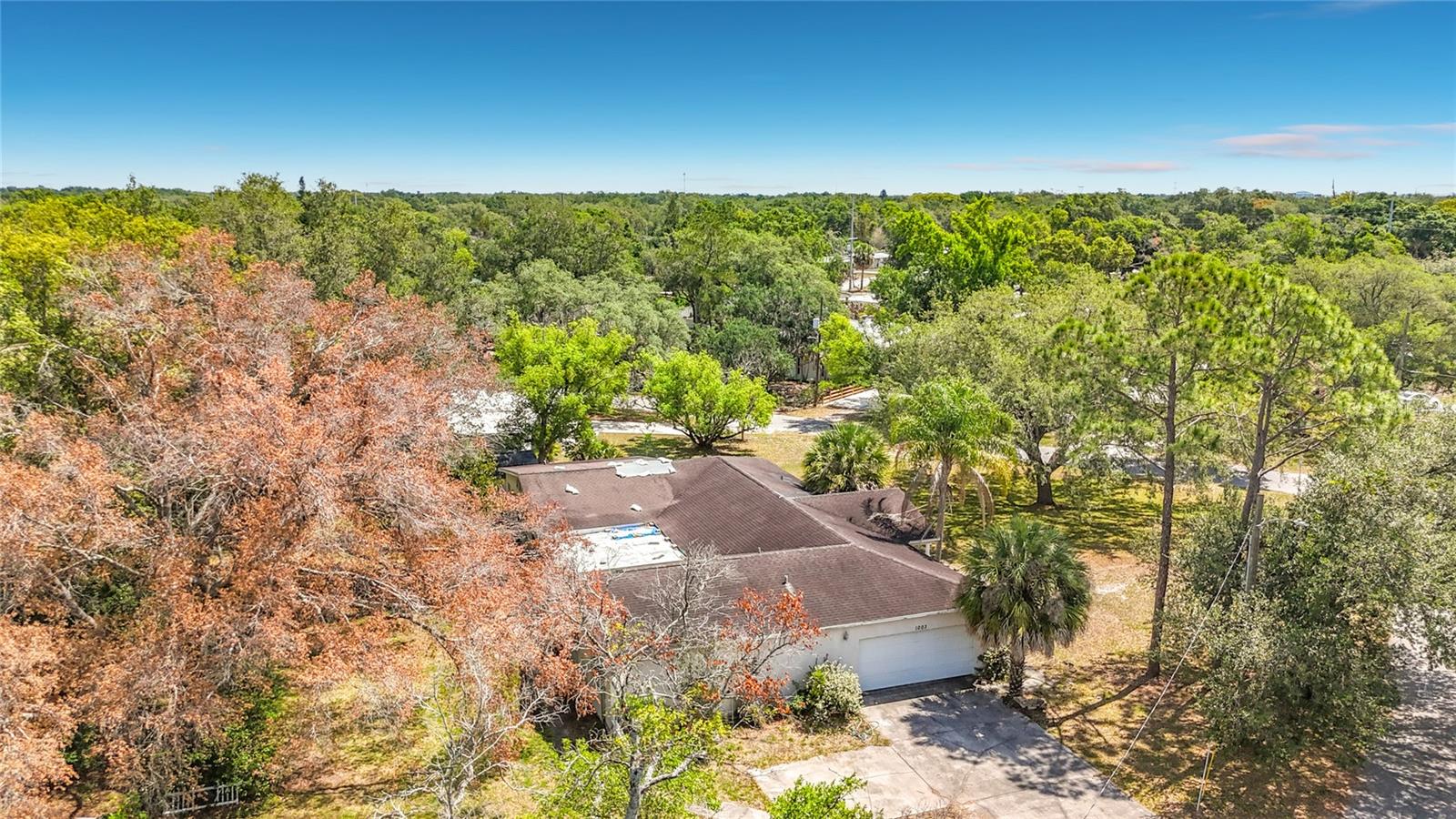 1003 W OUTBOUND PL, TAMPA, FL, 33612