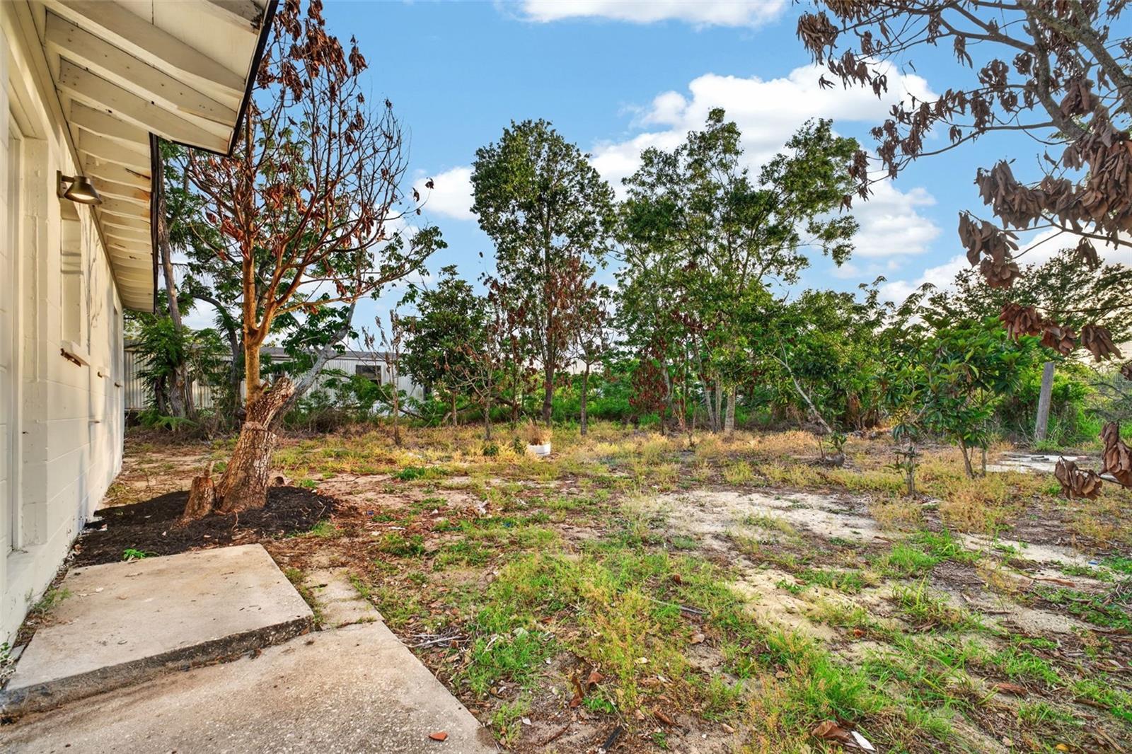 931 LINCOLN ST, BABSON PARK, FL, 33827