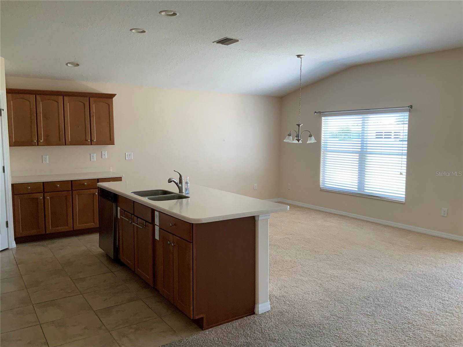 27215 ROANOKE DR, LEESBURG, FL, 34748