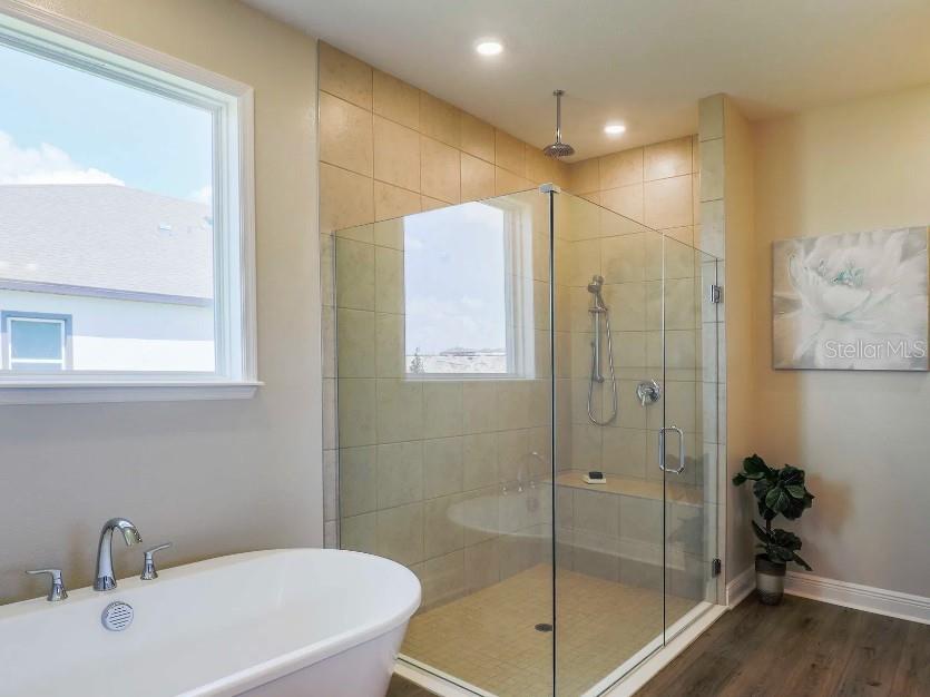 30513 PRESTWICK AVE, SORRENTO, FL, 32776