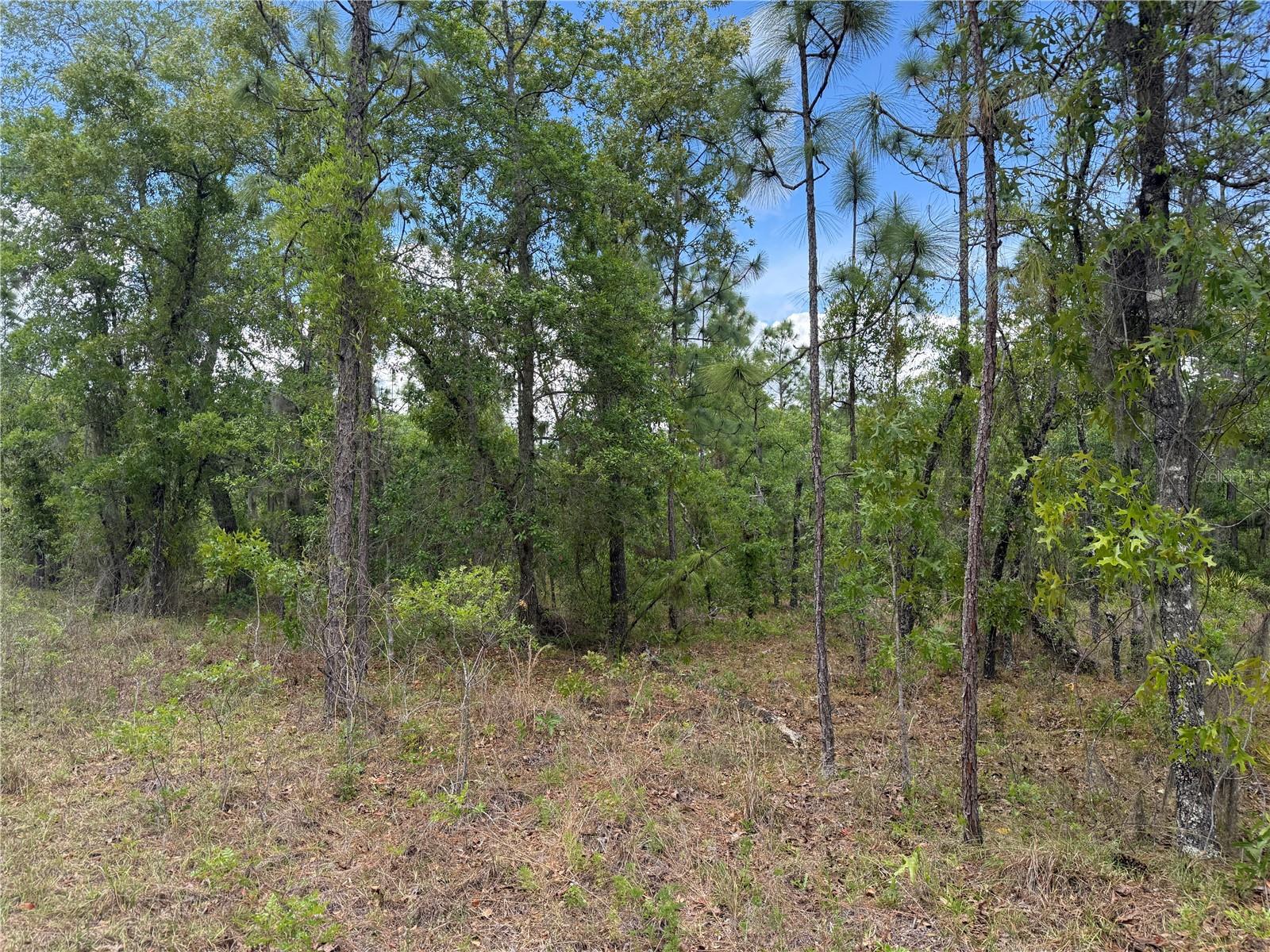 00 SE 126TH TER, DUNNELLON, FL, 34431