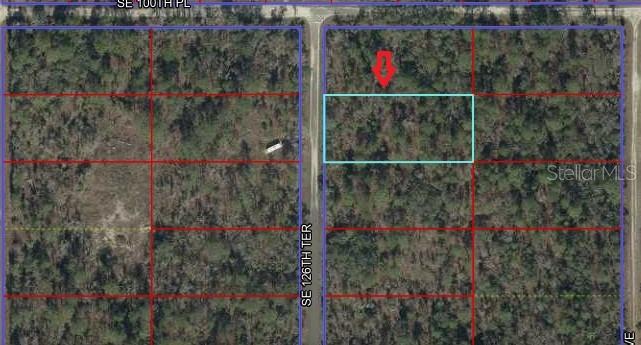00 SE 126TH TER, DUNNELLON, FL, 34431