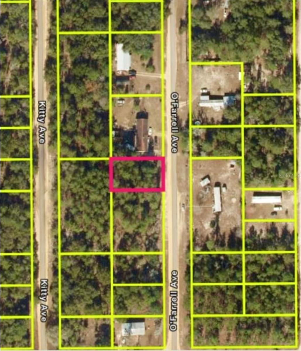 N O'FARRELL AVE, INTERLACHEN, FL, 32148