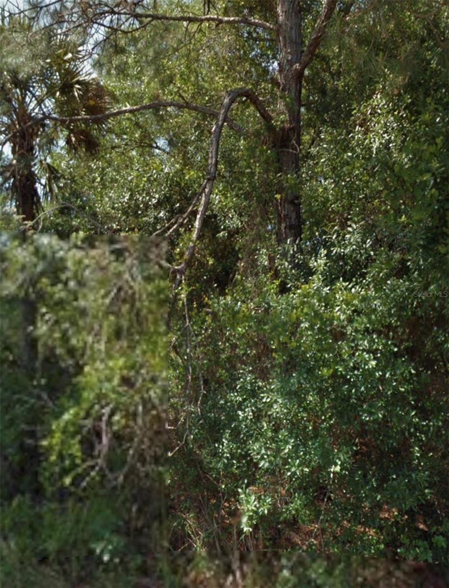 OHIO RD, NORTH PORT, FL, 34291