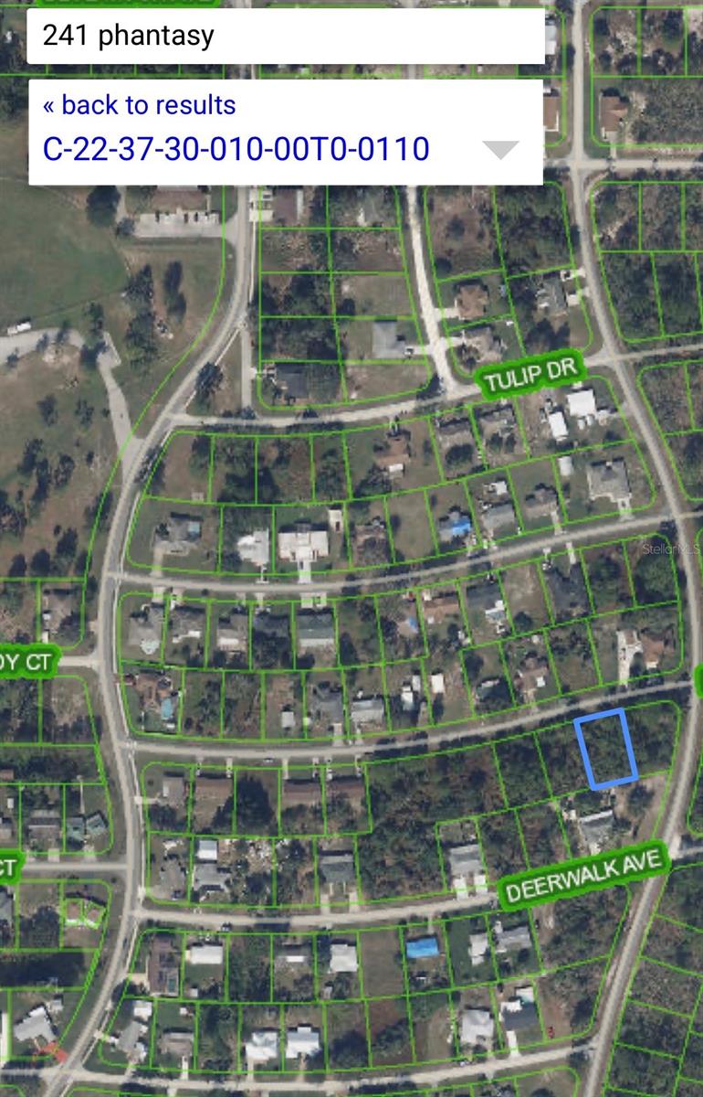 241 PHANTASY AVE, LAKE PLACID, FL, 33852