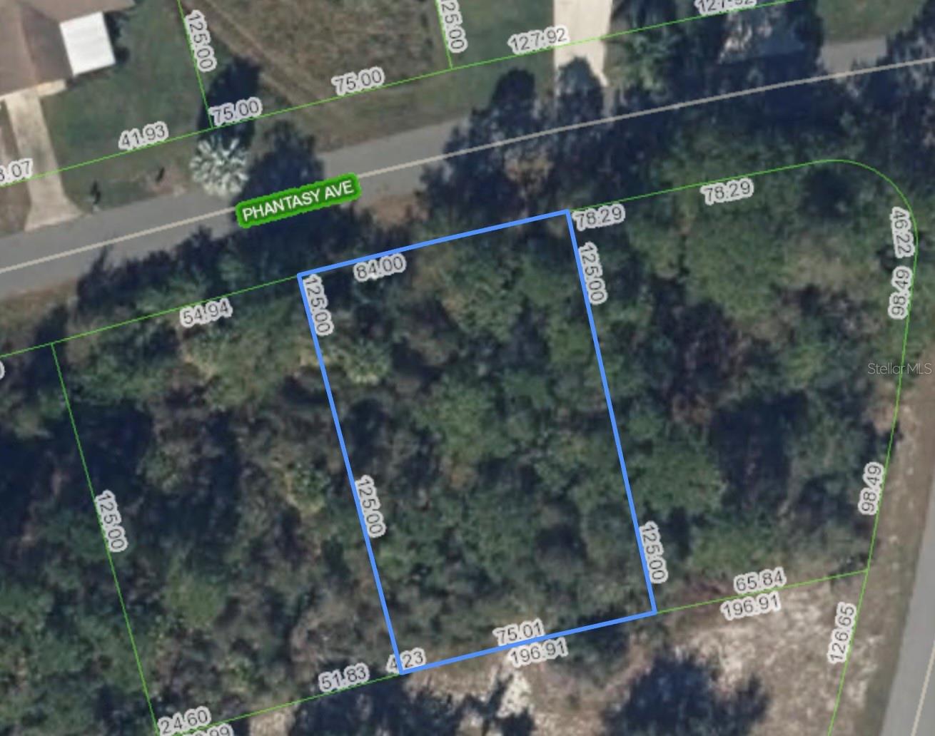 241 PHANTASY AVE, LAKE PLACID, FL, 33852