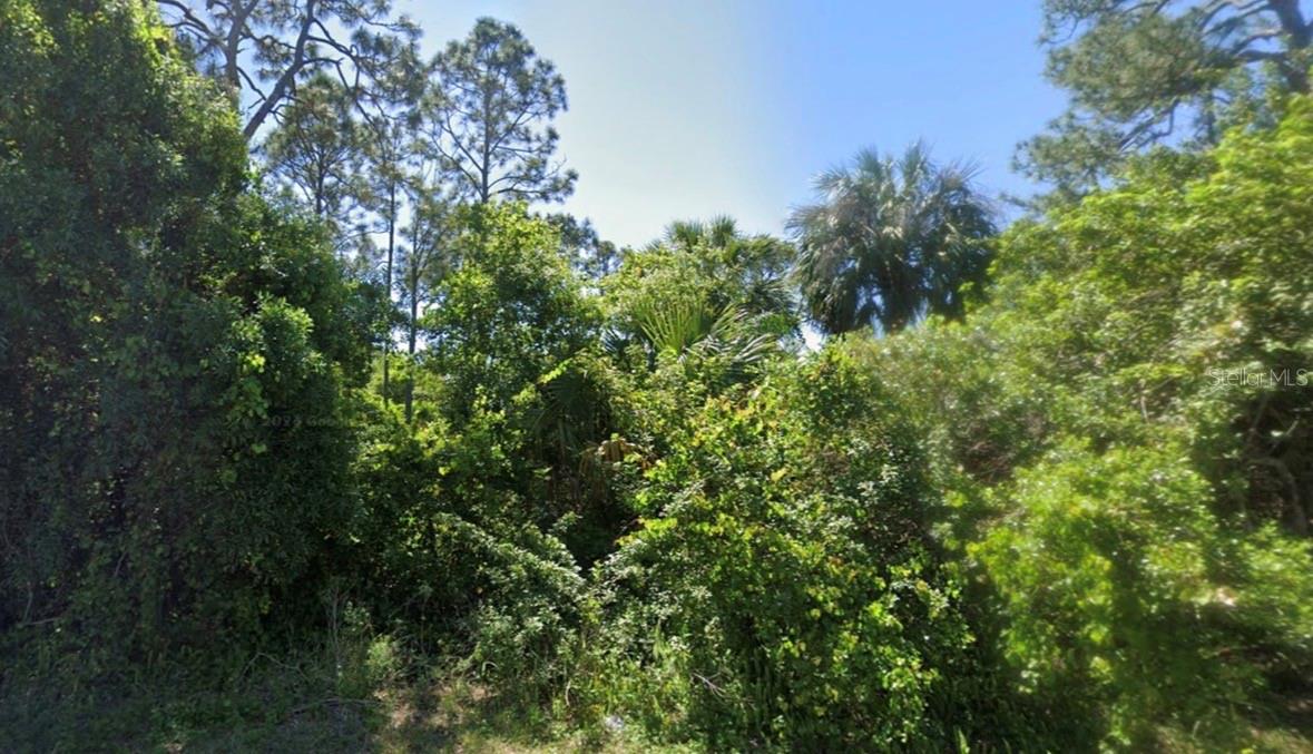 241 PHANTASY AVE, LAKE PLACID, FL, 33852