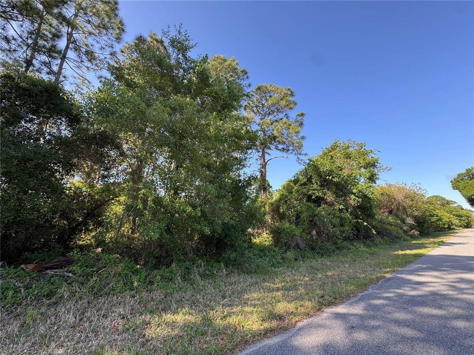 241 PHANTASY AVE, LAKE PLACID, FL, 33852