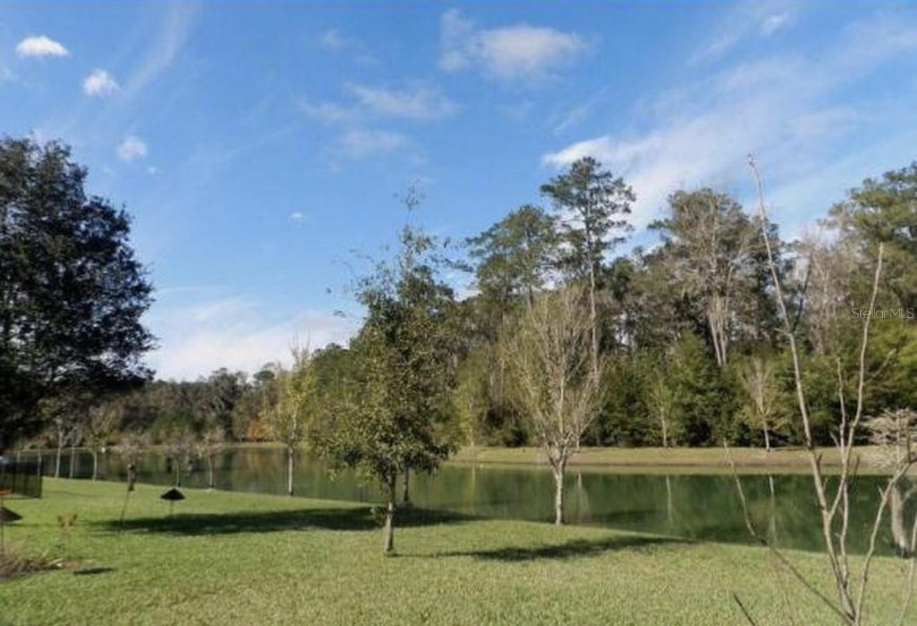 8135 NW 54TH ST, GAINESVILLE, FL, 32653