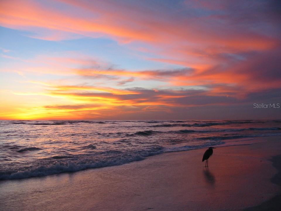 221 S VENICE BLVD, VENICE, FL, 34293