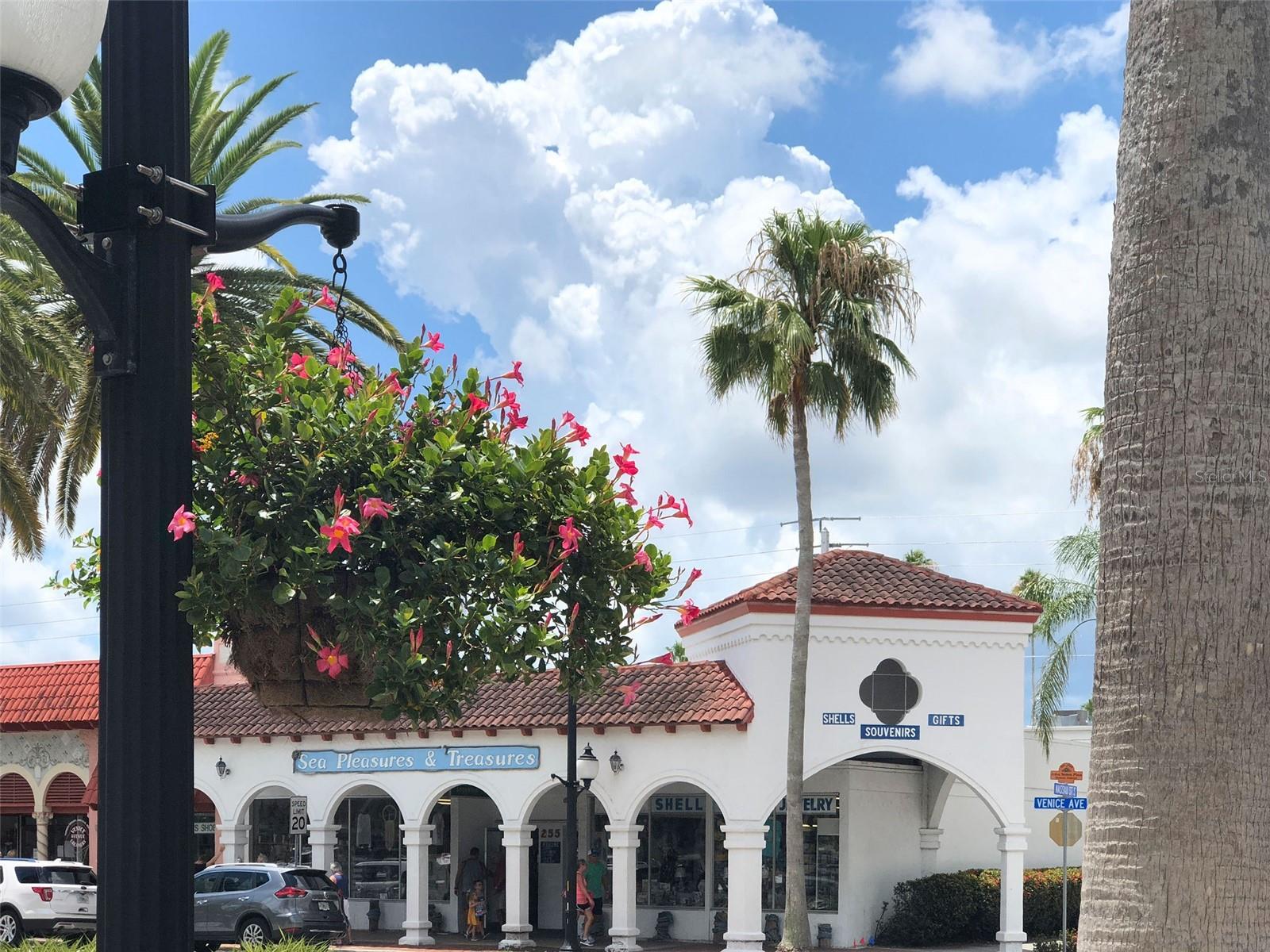 221 S VENICE BLVD, VENICE, FL, 34293