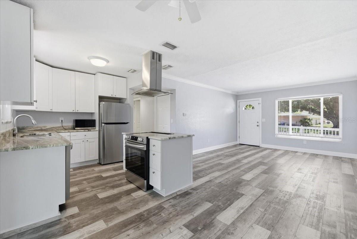 1317 LADY MARION LN, DUNEDIN, FL, 34698