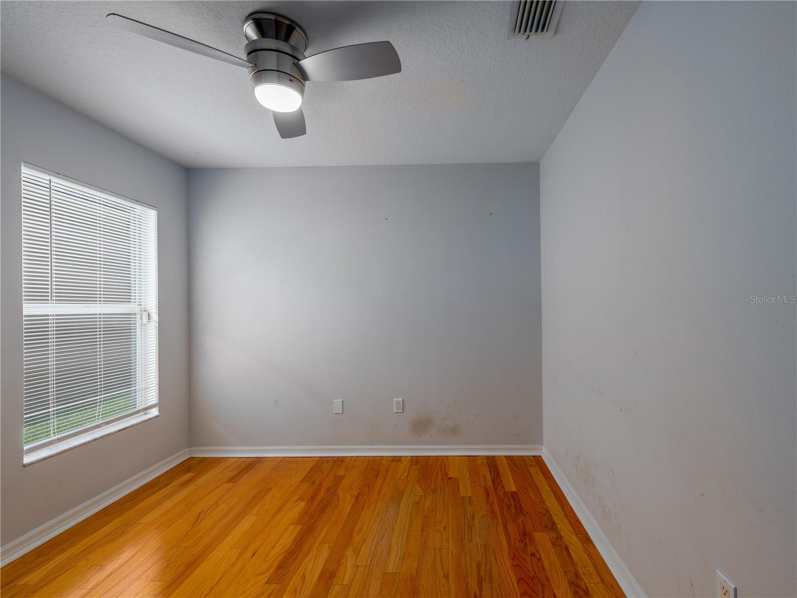 12541 BLAZING STAR DR, TAMPA, FL, 33626