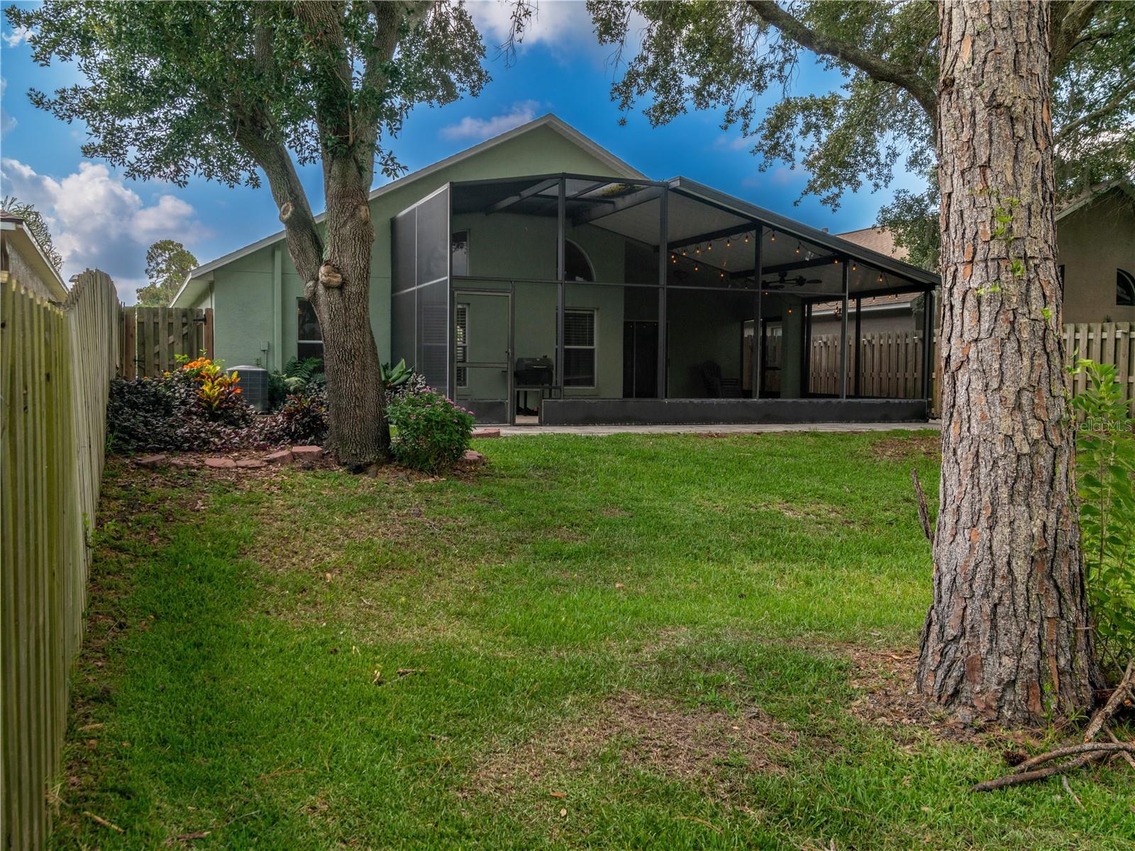 12541 BLAZING STAR DR, TAMPA, FL, 33626