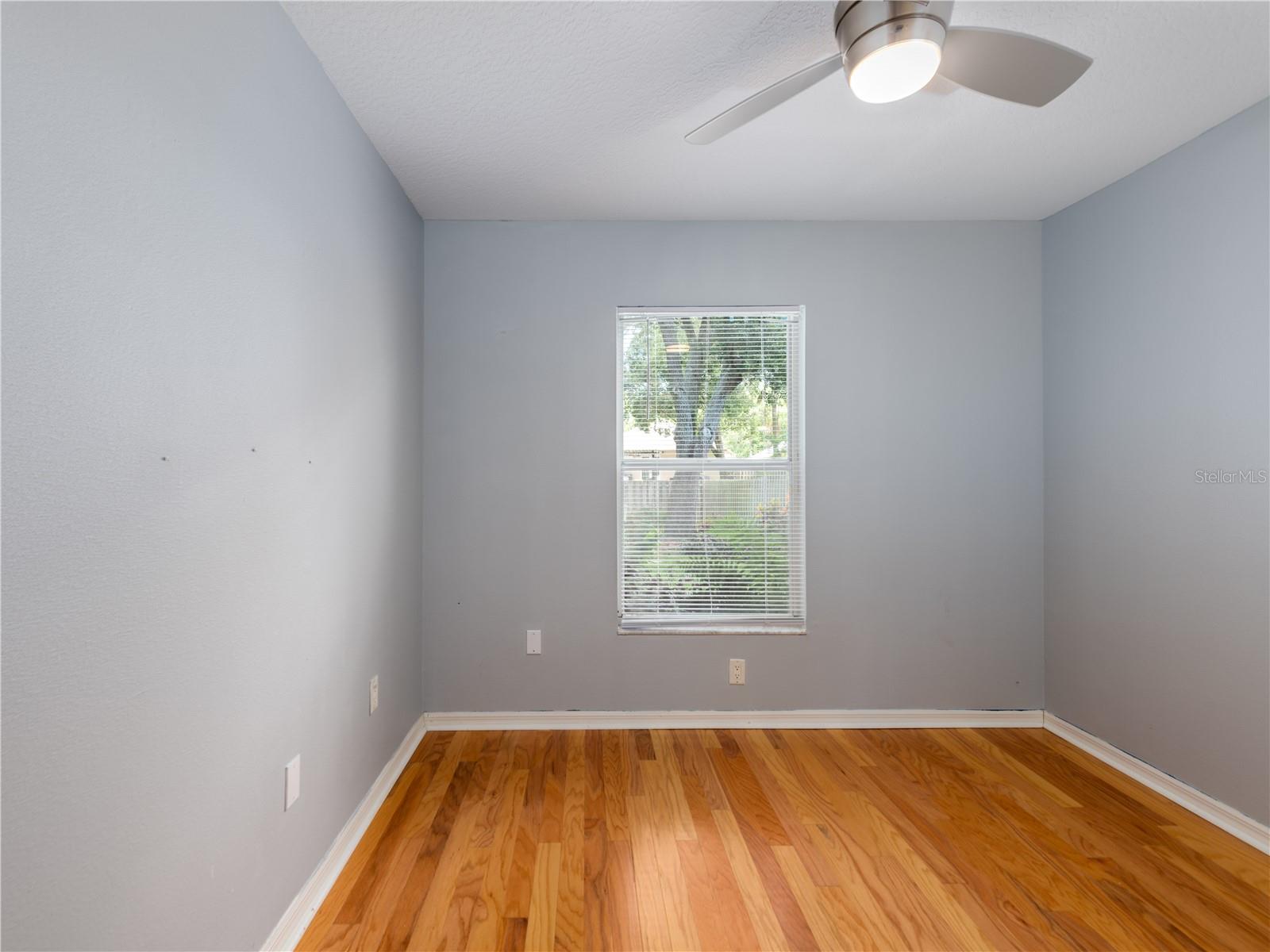 12541 BLAZING STAR DR, TAMPA, FL, 33626