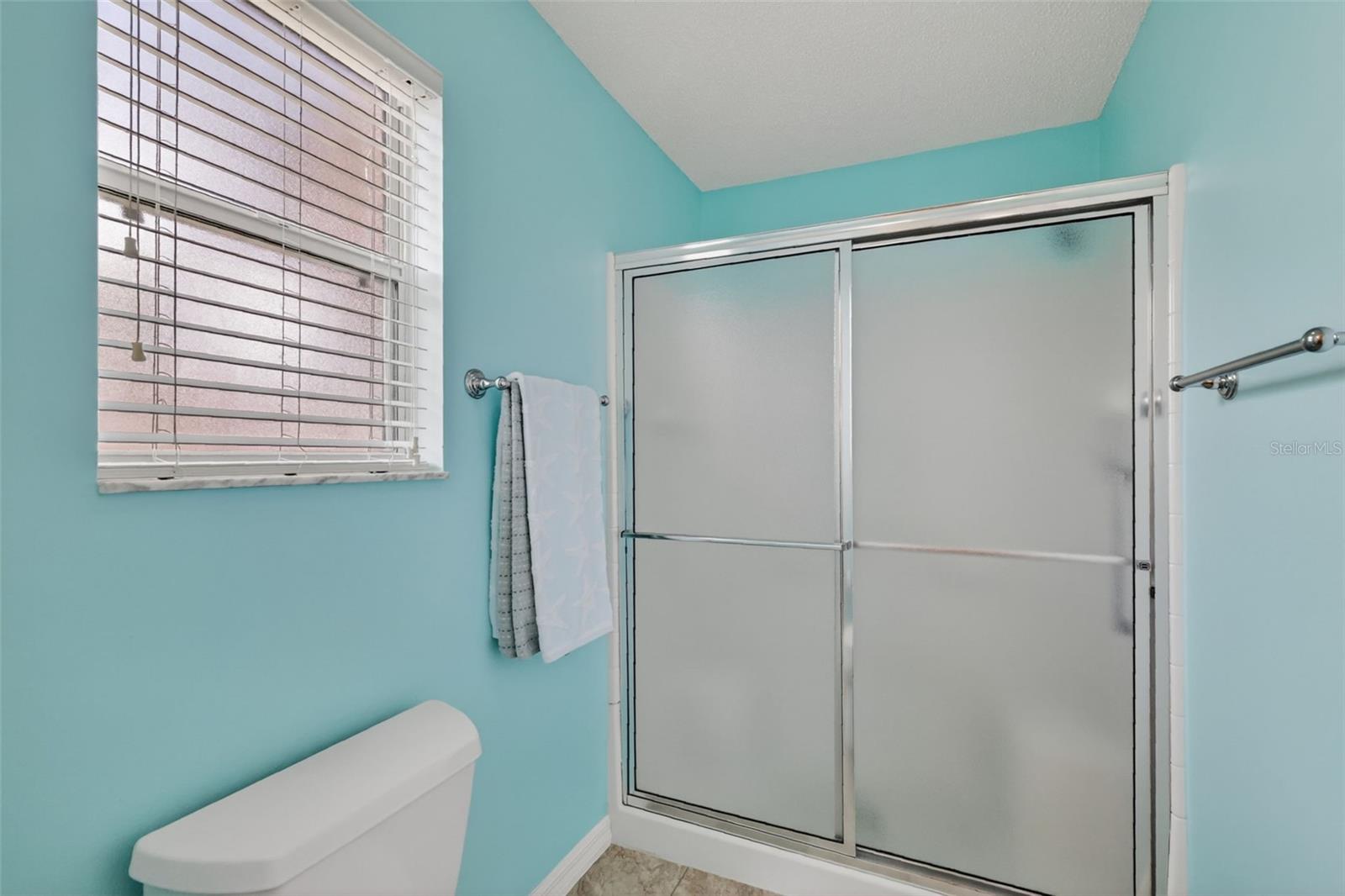 1060 GOLDEN GROVE DR, THE VILLAGES, FL, 32162