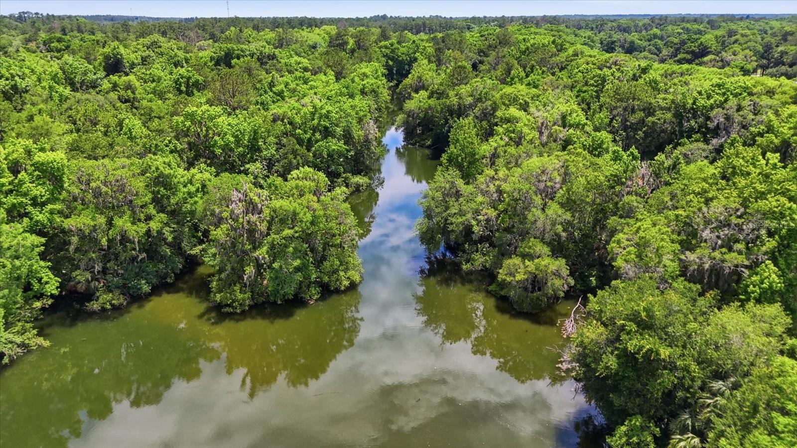 19191 SAINT GEORGE DR, DUNNELLON, FL, 34432